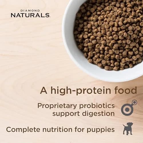 Diamond Naturals Small & Medium Breed Puppy Dry Dog Food, Chicken, 40lb | Supports Growth & Development thumbnail 2