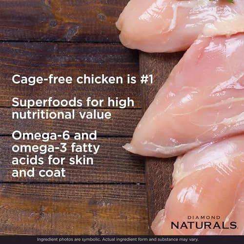 Diamond Naturals Small & Medium Breed Puppy Dry Dog Food, Chicken, 40lb | Supports Growth & Development thumbnail 3