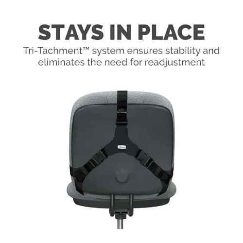 Fellowes Professional Series Back Support, Black | Mid Spinal & Lumbar Support for Office Chairs thumbnail 2