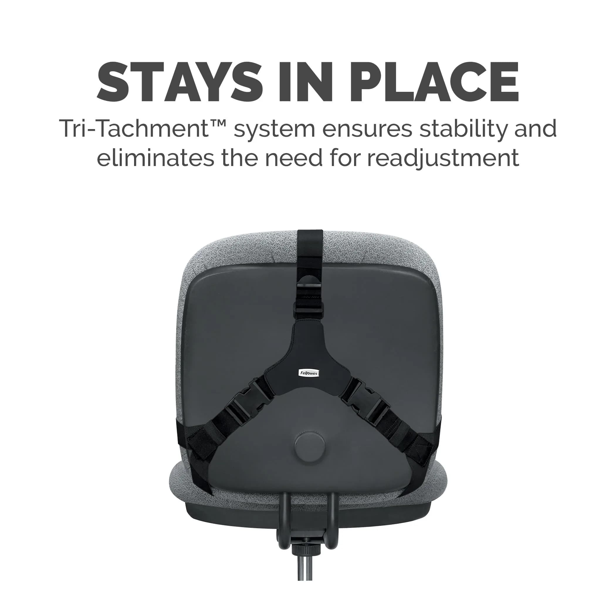 Fellowes Professional Series Back Support, Black | Mid Spinal & Lumbar Support for Office Chairs - view 2