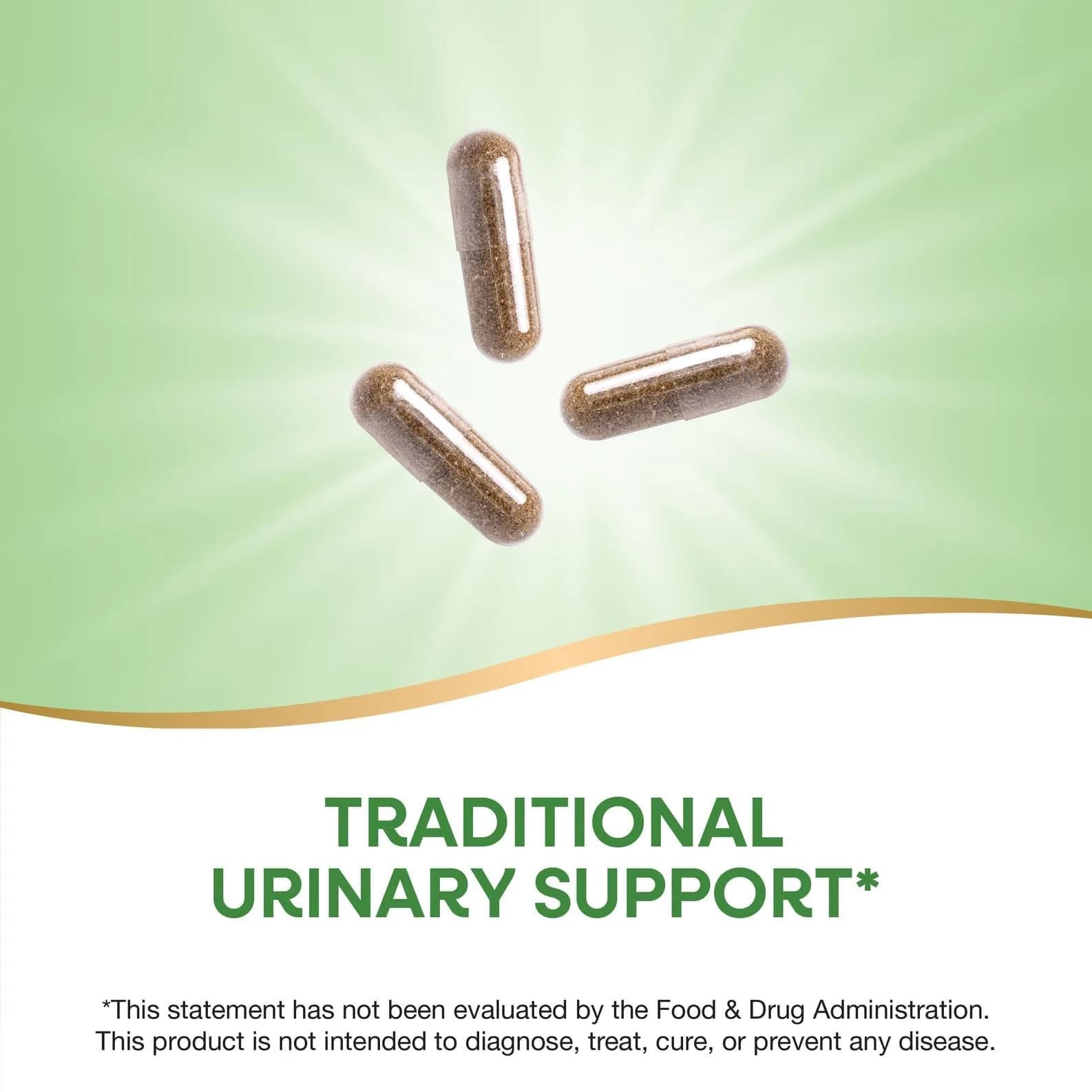 Nature's Way Uva Ursi Capsule Herbal Supplement 1440 mg (100 Count) | Traditional Urinary Support - view 3