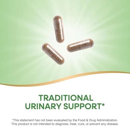 Nature's Way Uva Ursi Capsule Herbal Supplement 1440 mg (100 Count) | Traditional Urinary Support thumbnail 3