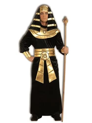 Rubies Egyptian Pharaoh Costume for Adults, Men's Large | Classic Egyptian Cosplay thumbnail 1