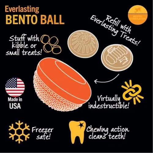 Starmark Everlasting Treat Bento Ball Medium Dog Toy | Durable Chew & Treat Dispenser in Day Glo Orange thumbnail 5