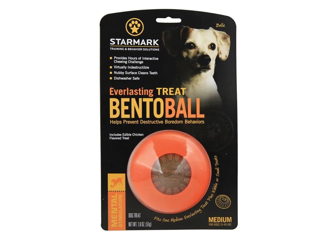 Starmark Everlasting Treat Bento Ball Medium Dog Toy | Durable Chew & Treat Dispenser in Day Glo Orange