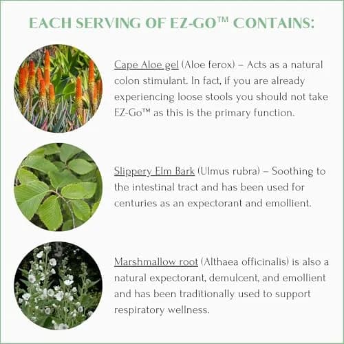 Mt. Capra EZ-Go Herbal Stool Softener 60 Capsules | Gentle Colon Support with Natural Fibers thumbnail 5