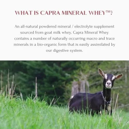 Mt. Capra Mineral Whey | from Goat Milk Whey | 50.8 oz | All-Natural Mineral & Electrolyte Supplement thumbnail 4
