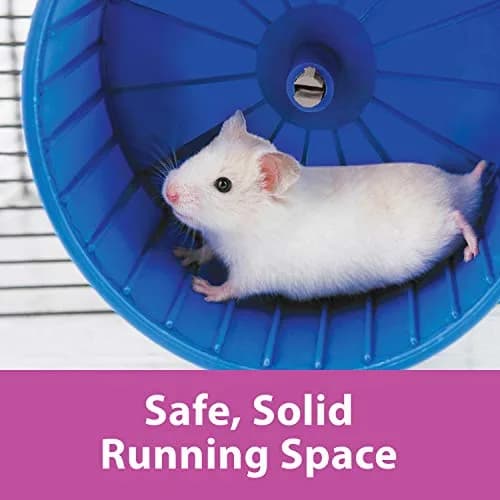Kaytee Comfort Wheel Giant 12 Inch | Safe Solid Running Surface for Rats, Chinchillas, Hedgehogs thumbnail 6
