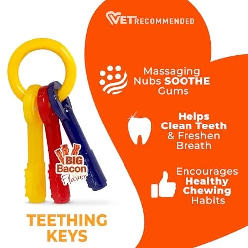 Nylabone Puppy Chew Teething Keys Dog Chew Toy, Bacon Flavor, Medium | Soothes Gums & Cleans Teeth thumbnail 4