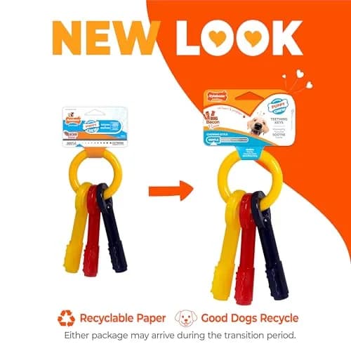 Nylabone Puppy Chew Teething Keys Dog Chew Toy, Bacon Flavor, Medium | Soothes Gums & Cleans Teeth thumbnail 3