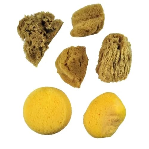 Royal & Langnickel Watercolor Sponges 6/Pkg | Art & Craft Utility Sponge Set for Painting Projects thumbnail 2
