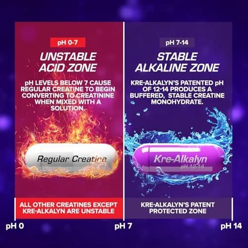 EFX Sports Kre-Alkalyn EFX pH-Correct Creatine Monohydrate Capsules 240 Count (120 Servings) | Clinically Tested Strength & Performance thumbnail 5