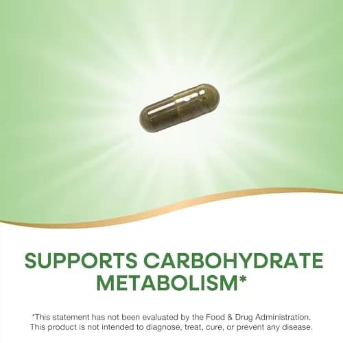 Nature's Way Gymnema Premium Extract 500 mg 60 Capsules | Supports Carbohydrate Metabolism thumbnail 3