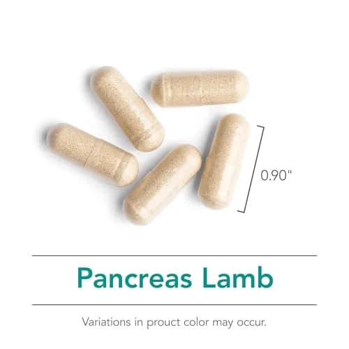 Allergy Research Group Nutricology Pancreas Lamb, Freeze Dried, 90 Count | Supports Digestive Enzymes & Bioactivity thumbnail 5