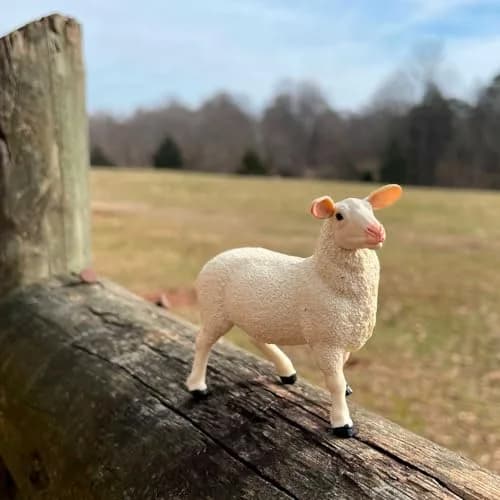 Safari Ltd. Ewe Figurine - Lifelike 3" Model Figure - Educational Toy for Kids 3+ thumbnail 4