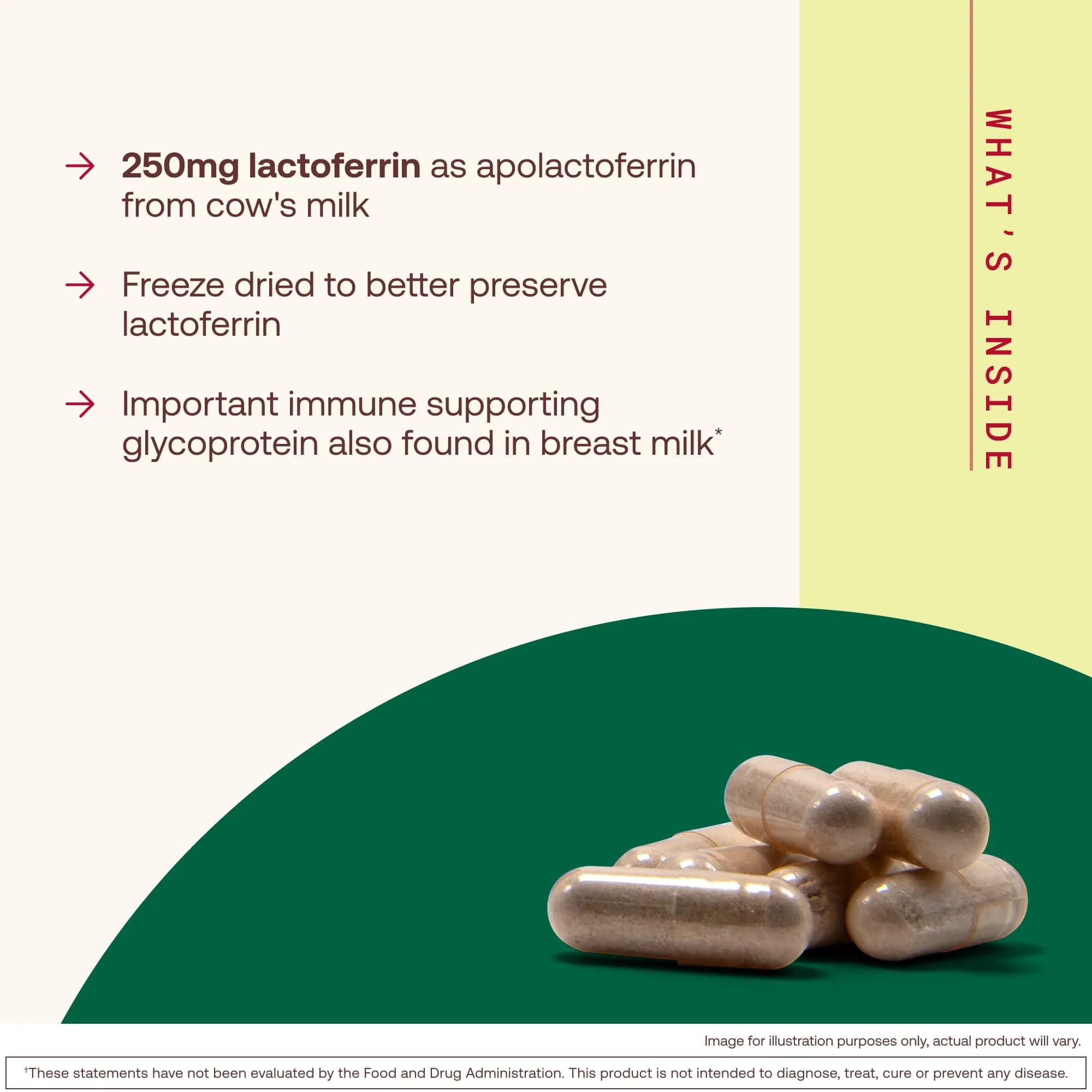Jarrow Formulas Lactoferrin Immune Support 250 mg Capsules | 60 Count (156g) - view 3