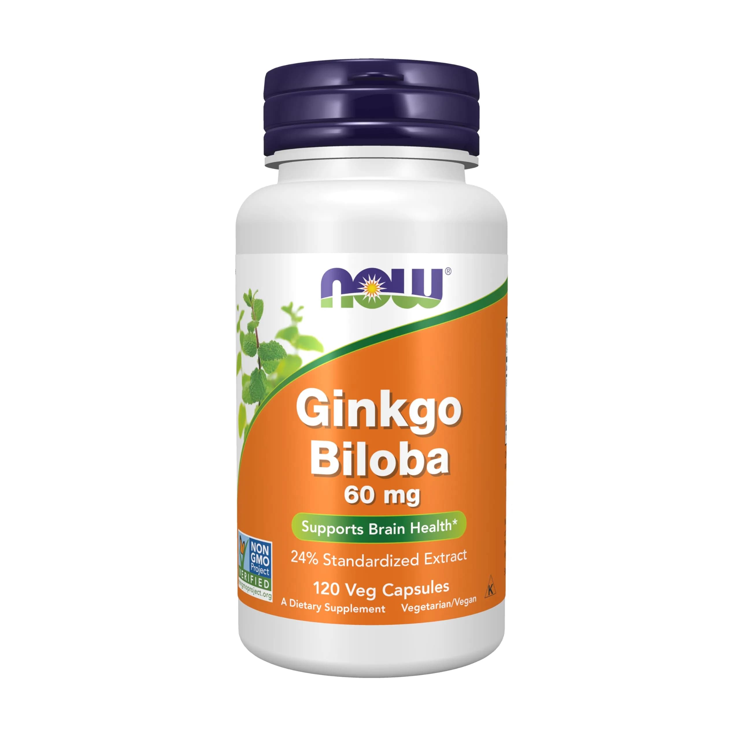 NOW Ginkgo Biloba 60 mg | Supports Brain Health & Free Radical Scavenging (70-120 chars) — Green/Brown