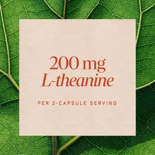 Nature's Way L-Theanine Stress Relief 60 ct | Fast-Acting Relaxation Support thumbnail 4