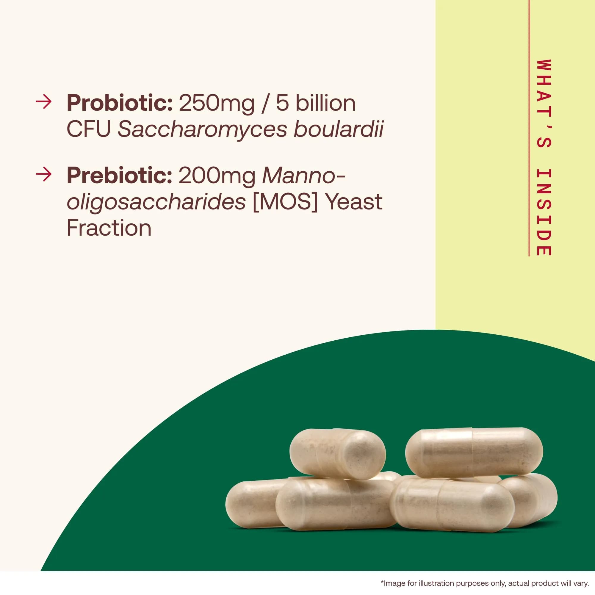 Jarrow Formulas Saccharomyces Boulardii + MOS Probiotic 5 Billion CFU 90 Delayed Release Caps | Digestive Health Support - view 3