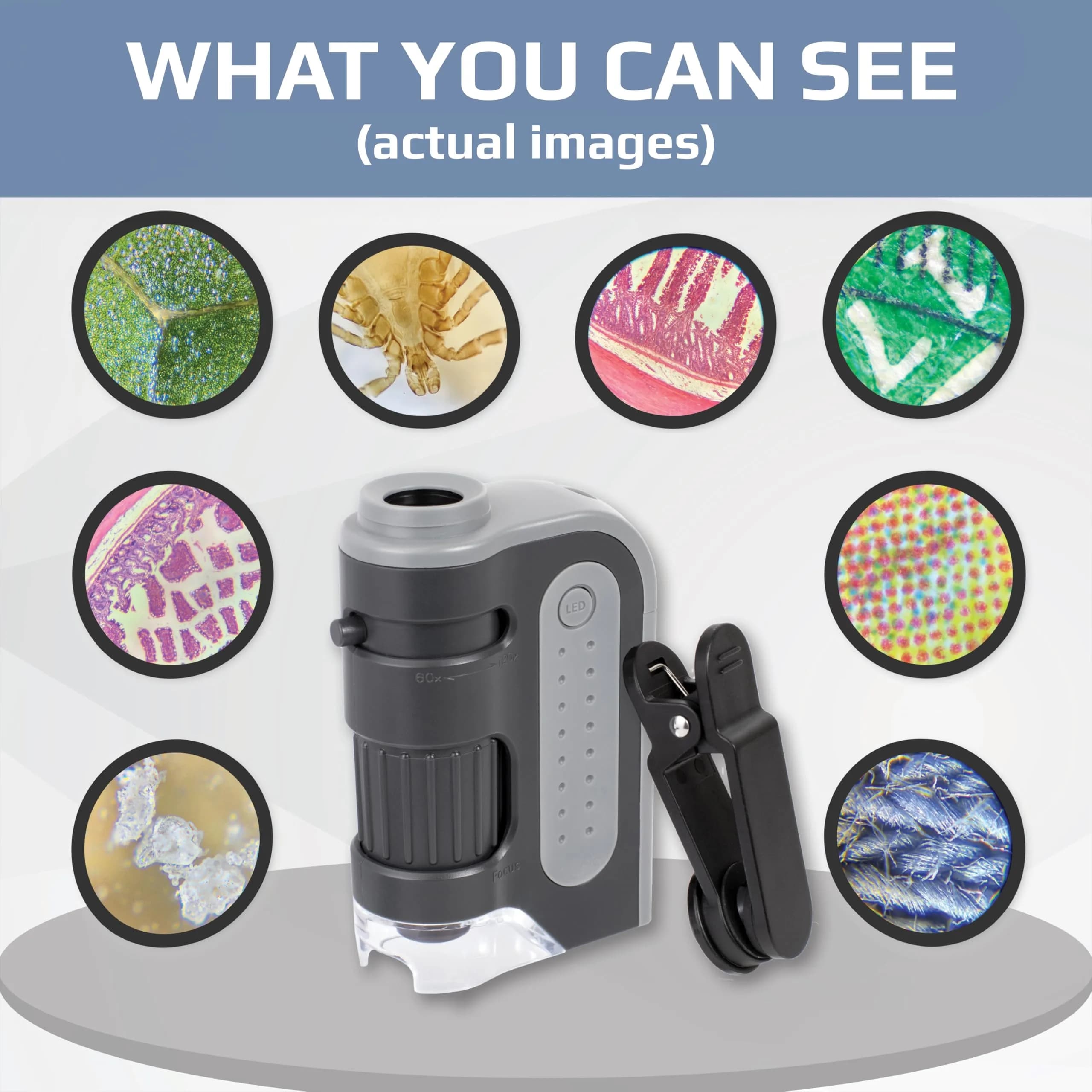 Carson MicroBrite Pro 60x-120x LED Pocket Microscope with Smartphone Adapter | STEM Science Kit for Kids - view 3