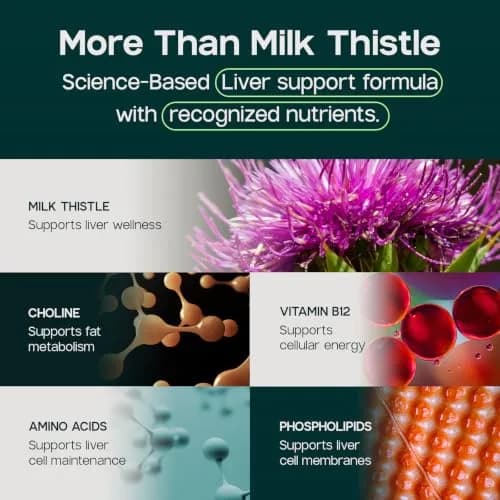 LIVERITE Liver Aid with Milk Thistle 60 Capsules | Supports Healthy Liver Function, Energy & Metabolism thumbnail 5