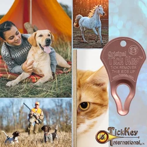 The Tick Key Tick Removal Tool, Multi Color 3 Pack | Safe, Portable & Made in USA (70-120 chars) thumbnail 5