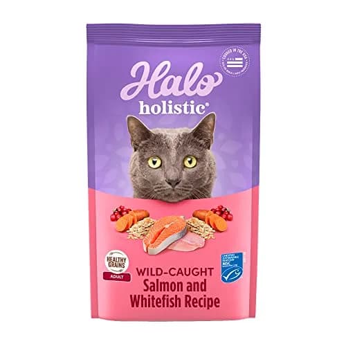 Halo Holistic Dry Cat Food, Wild-Caught Salmon & Whitefish Recipe, 1 Count (Pack of 1) | Complete Adult Cat Nutrition thumbnail 1