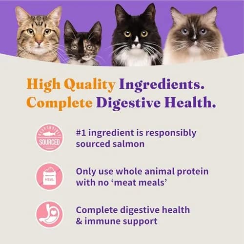 Halo Holistic Dry Cat Food, Wild-Caught Salmon & Whitefish Recipe, 1 Count (Pack of 1) | Complete Adult Cat Nutrition thumbnail 6