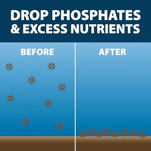 Airmax EcoBoost PRx Natural Pond Water Clarifier Binds Phosphates 10 lb | Safe, Natural Water Treatment for Ponds thumbnail 8