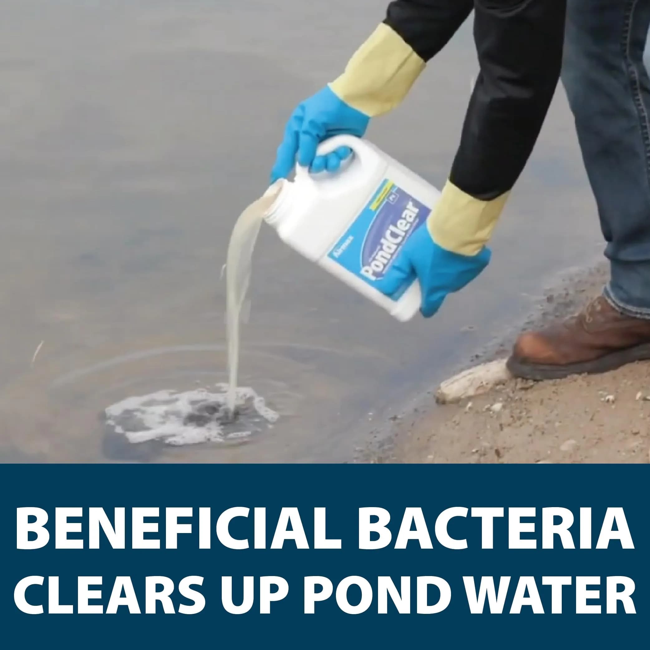 Airmax PondClear Liquid Bacteria Water Clarifier for Ponds & Lakes, 1 Gal thumbnail 3