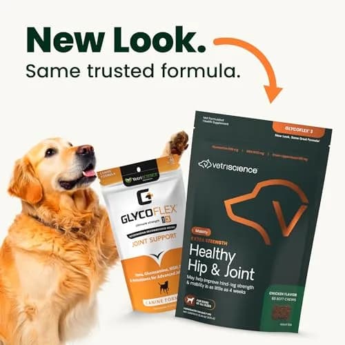 VetriScience Chicken Flavor Extra Strength Healthy Hip & Joint Chews for Dogs, 60 Chews | Vet-Formulated Mobility Support - view 2