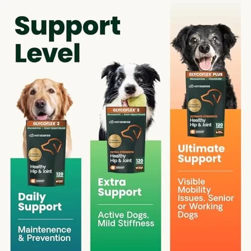VetriScience Chicken Flavor Extra Strength Healthy Hip & Joint Chews for Dogs, 60 Chews | Vet-Formulated Mobility Support - view 3