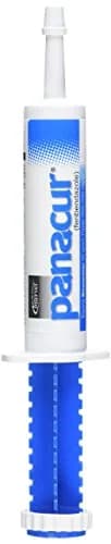 Intervet Panacur Dewormer Horse Paste 10% | Flavored with Apple Cinnamon, 100mg | Supports Horse Parasite Control thumbnail 1