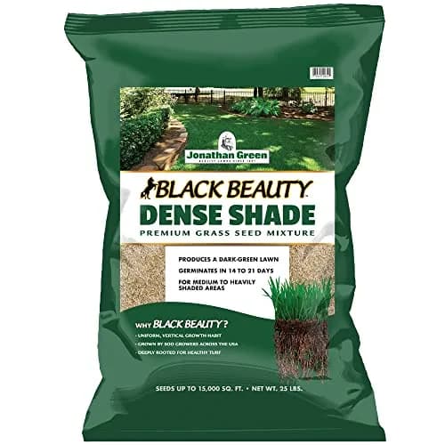 Jonathan Green Black Beauty Dense Shade Grass Seed 11.34 kg (25 lb) | Cool Season Lawn Seed for Shady Areas thumbnail 1