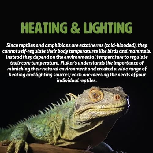 Fluker's Premium Heat Mat for All Reptiles and Amphibians, Large 17"x11" | Uniform, Safe Heating thumbnail 3