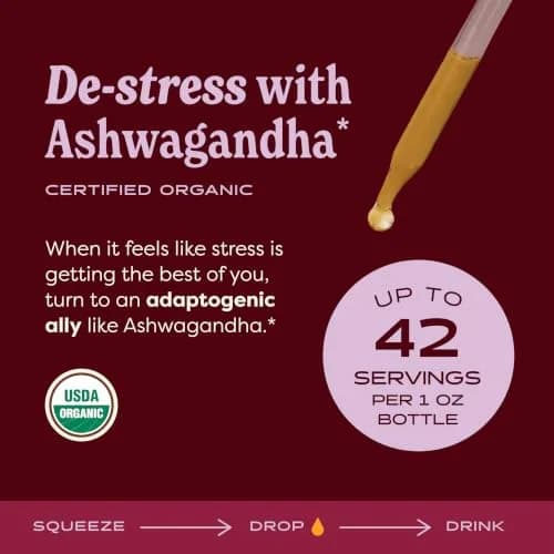 Herb Pharm Organic Ashwagandha Liquid Extract 30ml (1 Fl Oz) | Calming Ayurvedic Adaptogen for Stress Support thumbnail 2