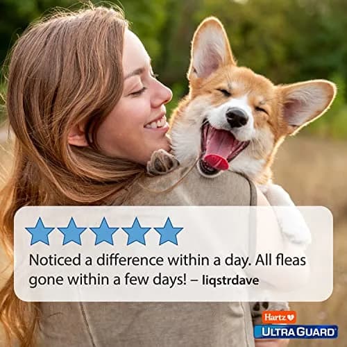 Hartz UltraGuard Flea and Tick Dog Spray 473ml (16 Fl Oz) | Kills and Repels Fleas and Ticks thumbnail 5