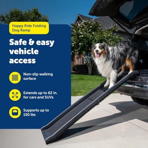 PetSafe Folding Dog Ramp Supports 150 lbs | Portable, Foldable, High-Traction thumbnail 3