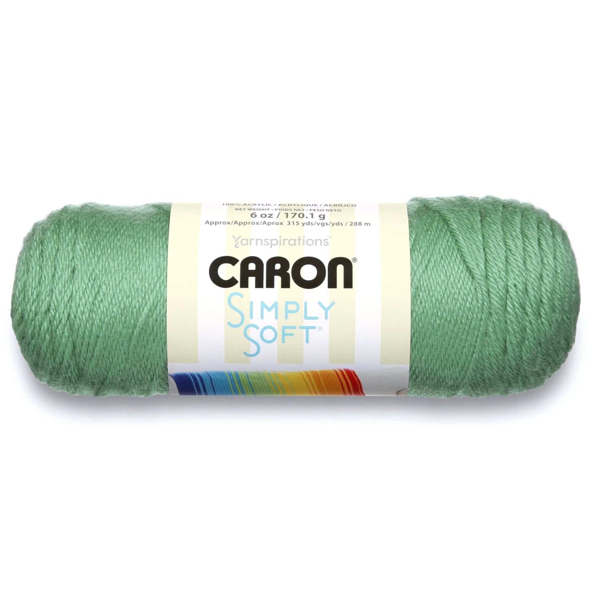 Caron Simply Soft Yarn Orchid | Ultra-Soft Acrylic for Crochet & Knitting — Sage