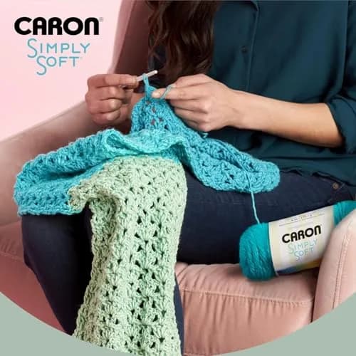 Caron Simply Soft Yarn Sage | Versatile Medium Gauge 6 oz | Machine Wash & Dry thumbnail 2