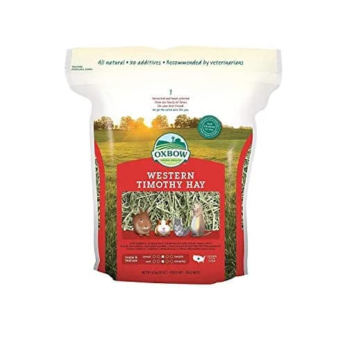Oxbow Western Timothy Hay for Rabbits & Guinea Pigs, 425 g (15 oz) | Veterinarian Recommended For Digestive Health thumbnail 1