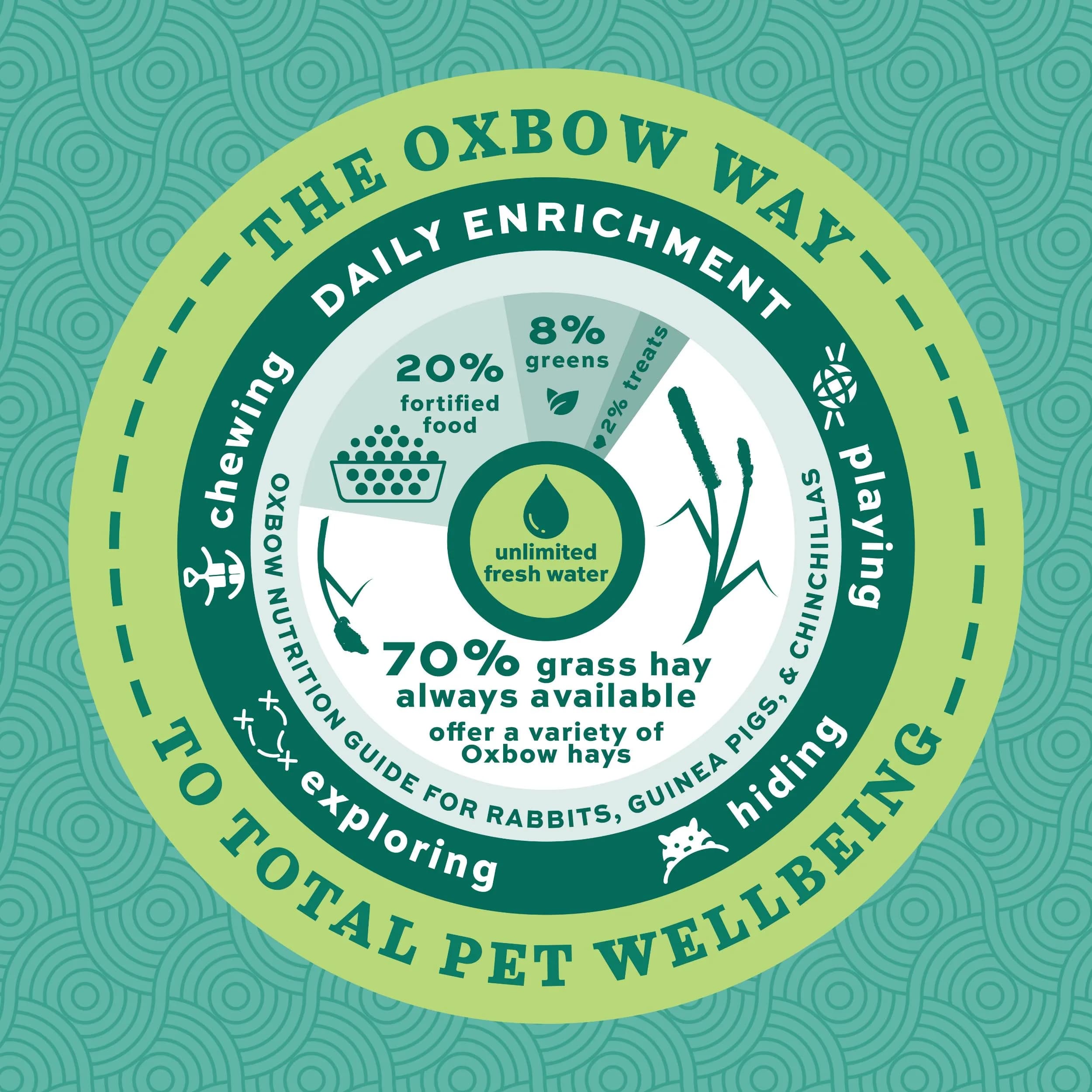 Oxbow Essentials Adult Rabbit Food with Timothy Hay | 4.54 kg (10 lb) - view 7