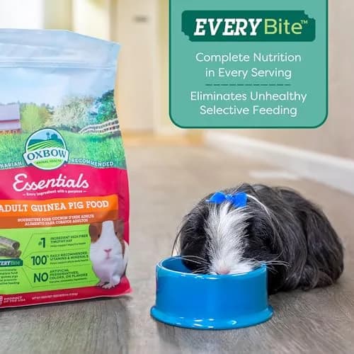 Oxbow Essentials Adult Guinea Pig Food, Timothy Hay Pellets, 4.54kg (10 lb) | Supports Digestion & Immunity thumbnail 7