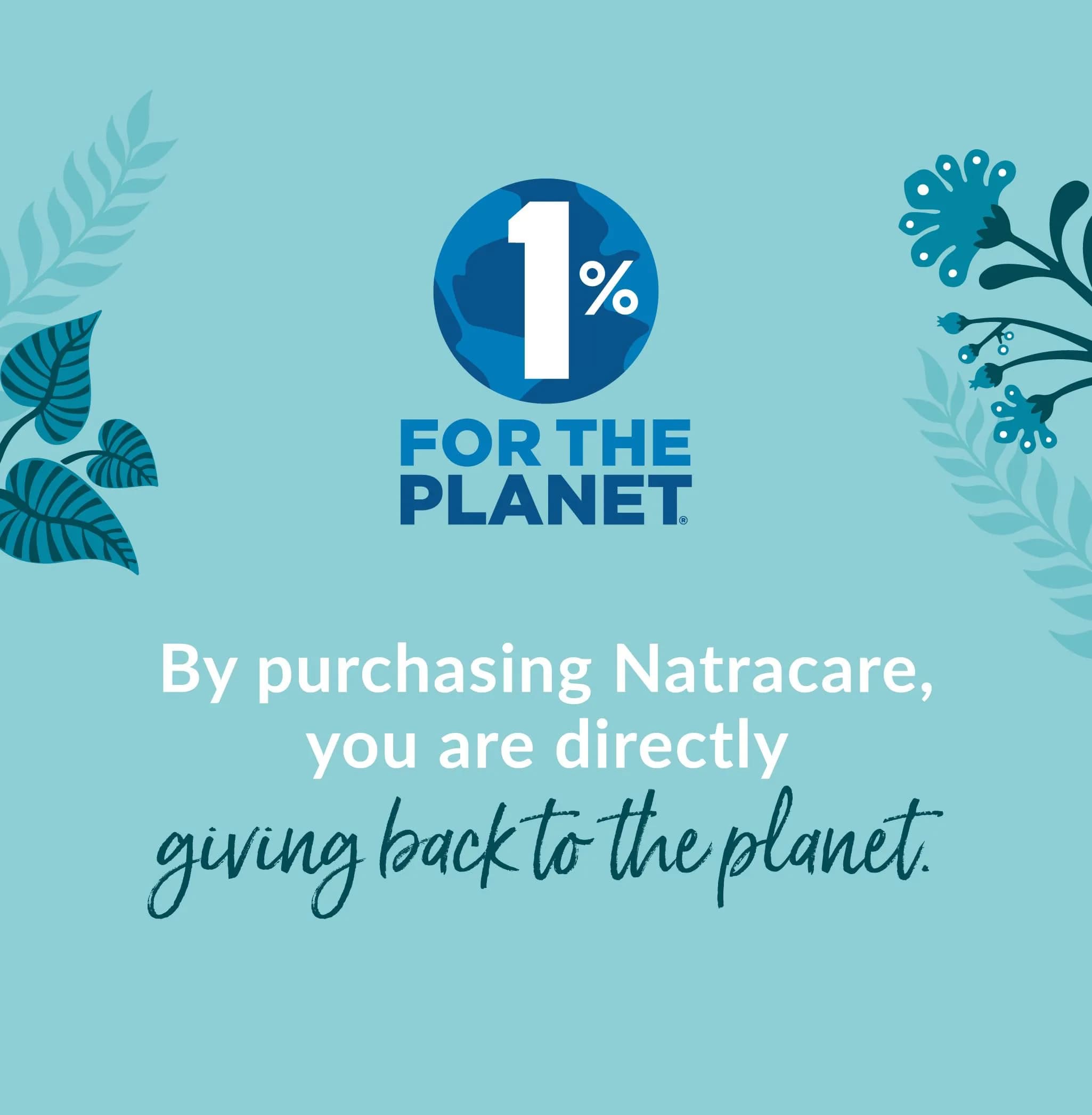Natracare Slim Fitting Ultra Pads with Wings, Long, 10 Count (10 Count) | Certified Organic Cotton & Plastic-Free - view 7