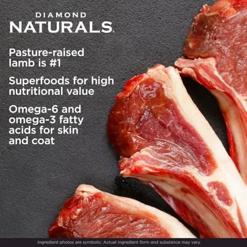 Diamond Naturals Small Breed Adult Dry Dog Food, Lamb & Rice, 6lb | Supports Small Breed Needs & Digestion thumbnail 3
