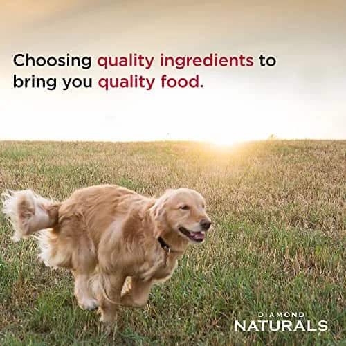 Diamond Naturals Small Breed Adult Dry Dog Food, Lamb & Rice, 6lb | Supports Small Breed Needs & Digestion thumbnail 4