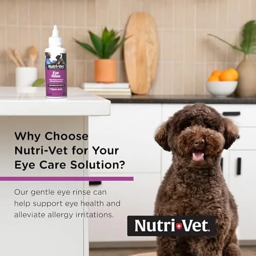 Nutri-Vet Dog Eye Wash, Tear Stain Remover, 4oz | Gentle Formula for Irritated Eyes & Tear Stains thumbnail 3