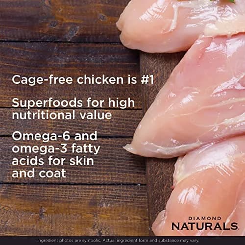 Diamond Naturals Small Breed Adult Dry Dog Food Chicken & Rice | Supports Small Dog Health & Digestion (70-120 chars) thumbnail 3