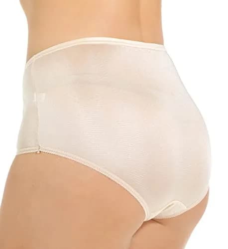 Teri Women's 331X Plus Full Cut Nylon Briefs | Full Coverage Panty - 4 Pack thumbnail 4