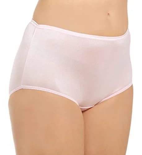 Teri Women's 331X Plus Full Cut Nylon Briefs | Full Coverage Panty - 4 Pack thumbnail 2